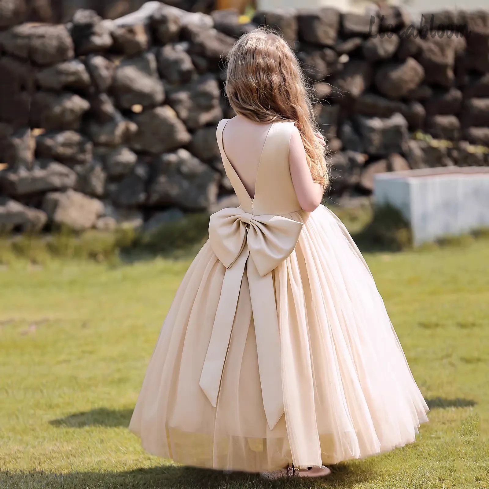 Multicolor Backless Princess D - огляд і ціна Women Formal Wear For Party